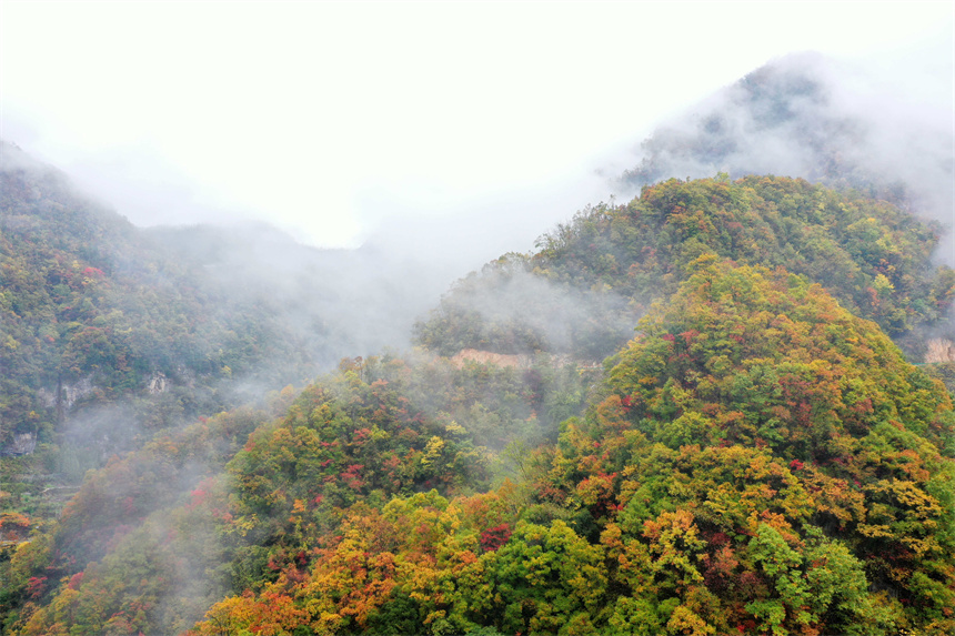 湖北保康：山村秋色美