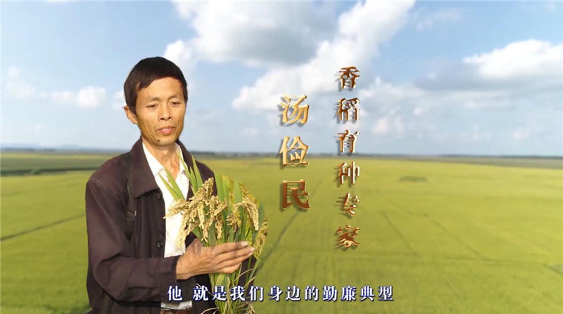 圖為專題短片《情有獨“種” 稻花飄香》畫面內容。
