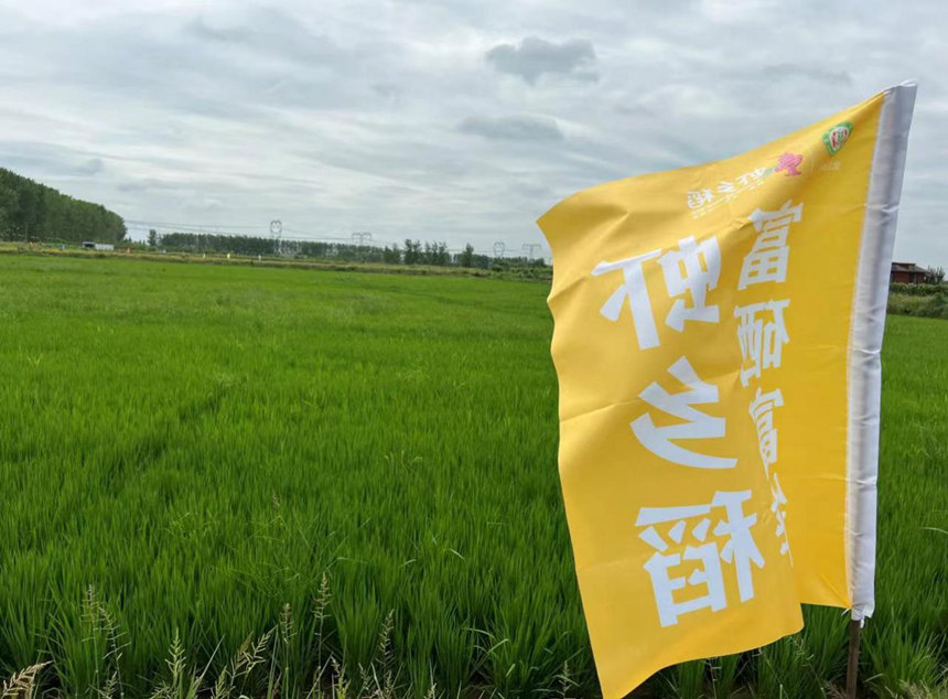 富硒富锌“水稻 ”绿色高质高效集成示范基地。