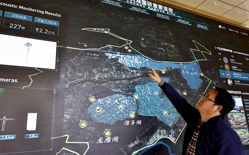 数字信息技术助力沉湖完成华丽转身。