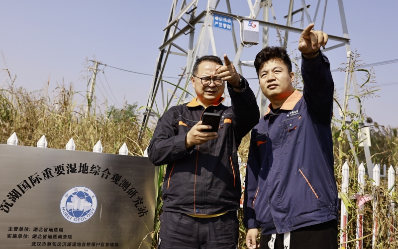 沉湖湿地生物多样性智慧监测系统开始建设。
