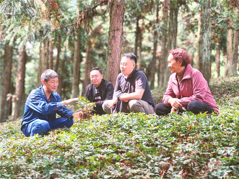 建南镇纪委干部在黄连种植基地，走访了解产业帮扶政策落实情况。