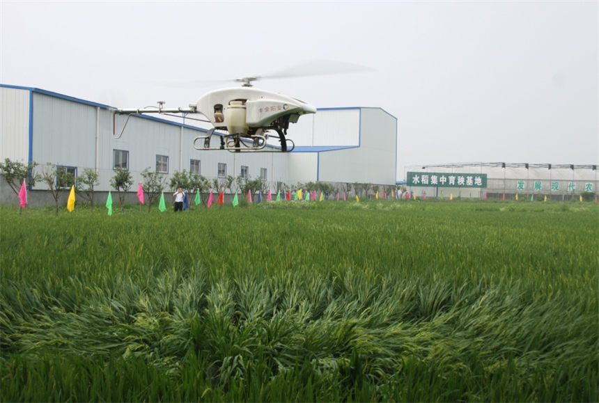 京山綠豐無人機飛防植保
