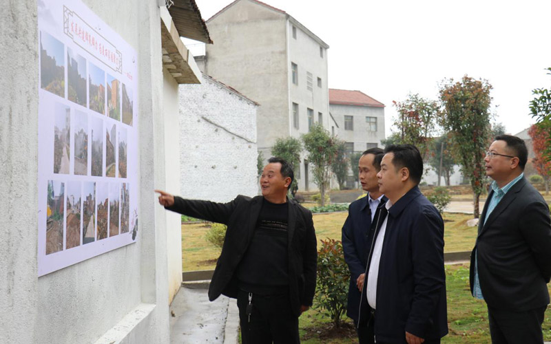 武穴市纪委监委主要领导在大金镇张天二村调研党风廉政建设成效宣传工作。