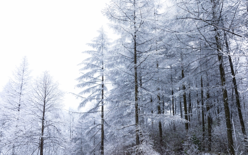 湖北恩施州建始县迎来降雪。