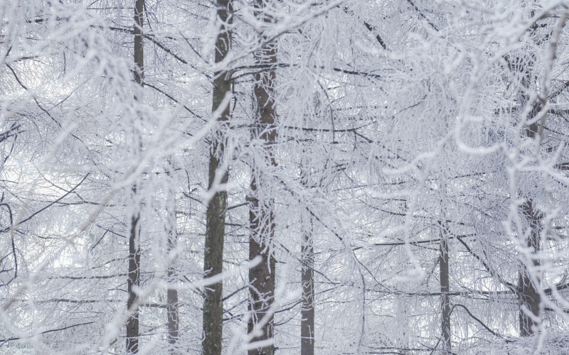 湖北恩施州建始县迎来降雪。