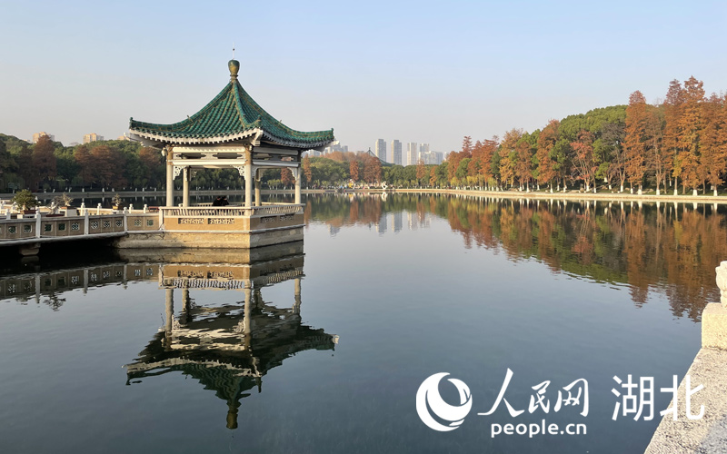 武漢東湖冬日風景如畫。人民網 關喜艷攝