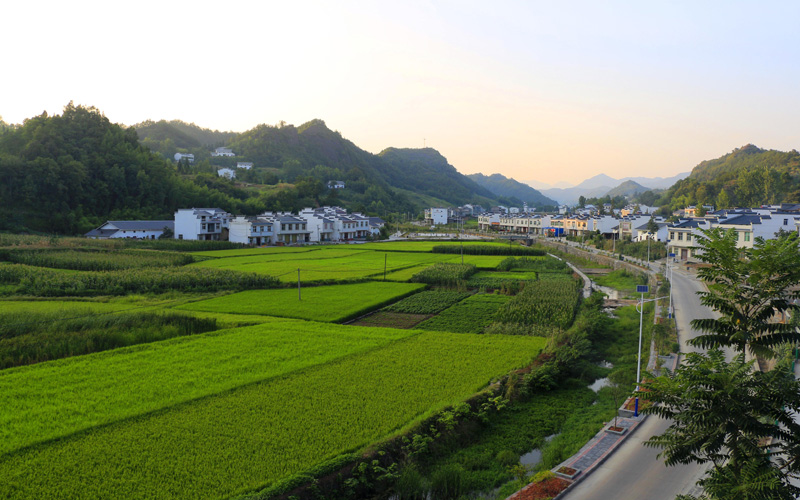 竹山擂鼓镇生态清洁小流域治理见成效
