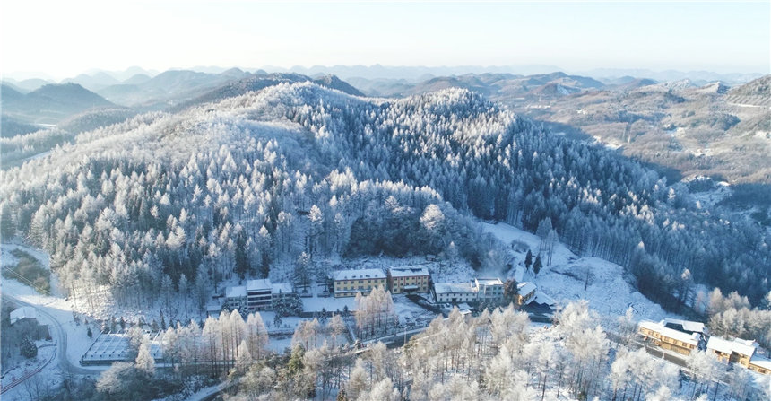 湖北建始：冬雪落林海【5】