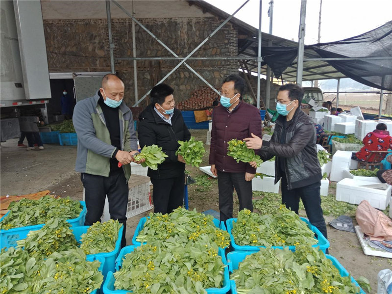 湖南步步高公司考察兴山菜薹市场。
