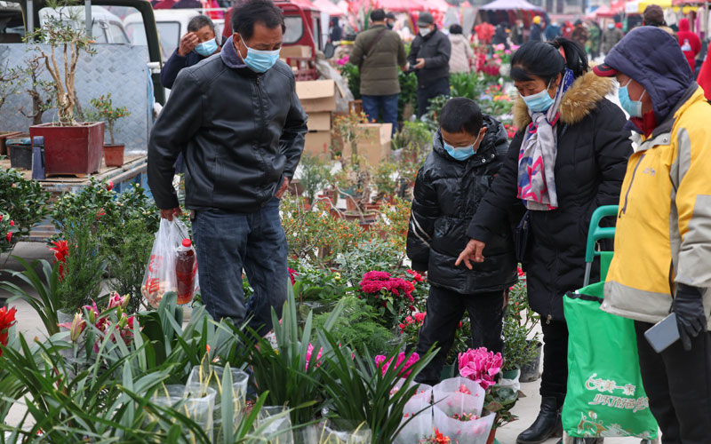 1月10日，在湖北省襄阳市襄城区迎新春年货节上，市民在挑选花卉。