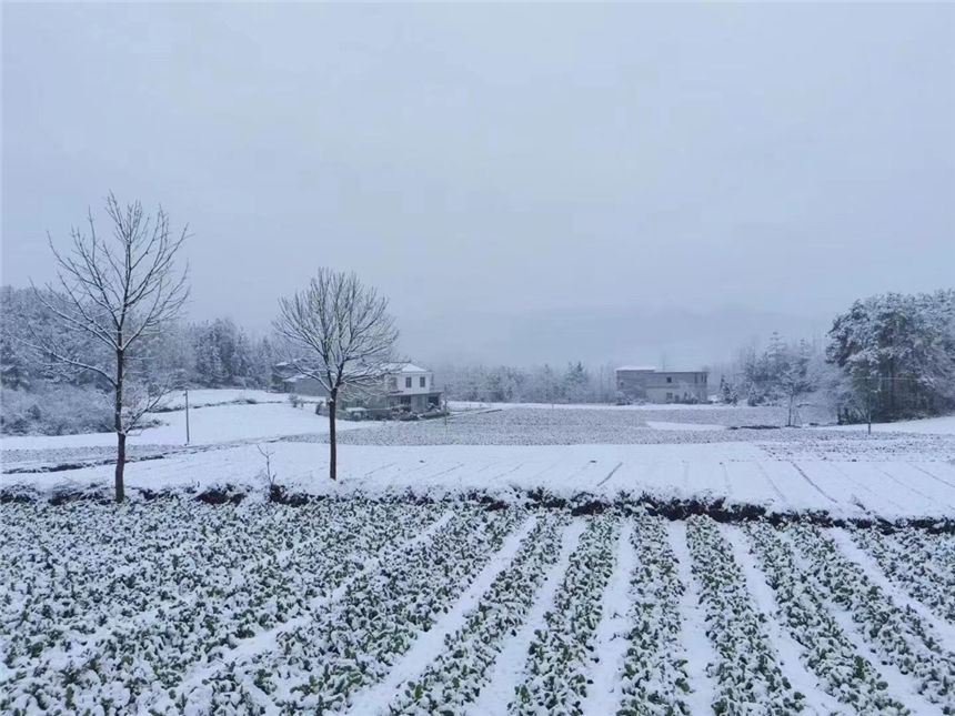 湖北建始：小年迎初雪，瑞雪兆丰年