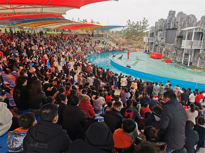 游客在鄂东动物王国看动物表演。