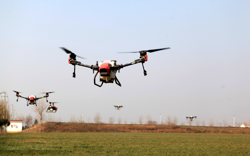 湖北棗陽太平鎮南高庄村麥地上，6台植保無人機在機手操作下正進行低空盤旋噴施葉面肥作業。郭振興攝