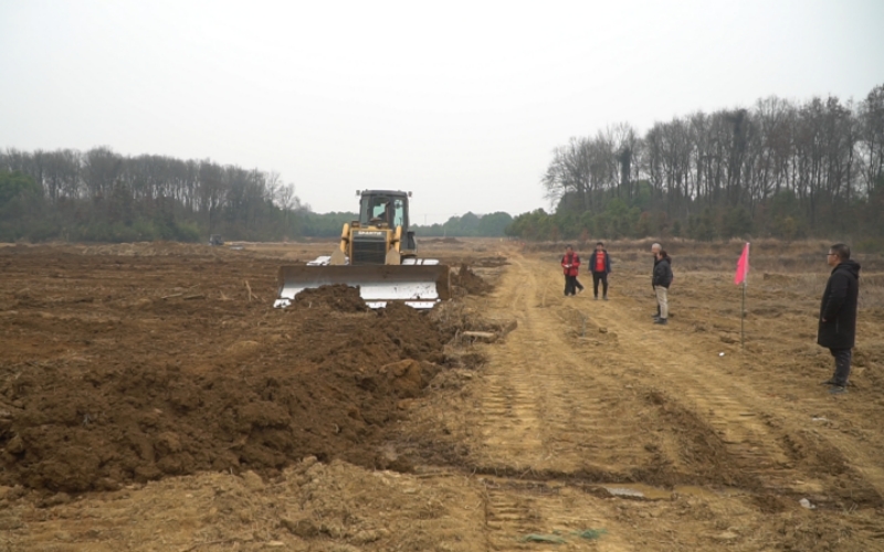2月1日，武汉市梁子湖风景区保福村高标准农田建设现场。陈雪莹摄