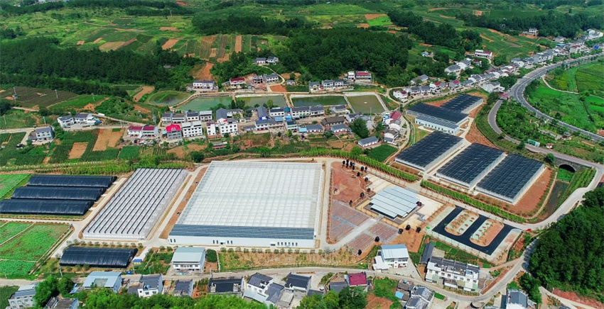五福龍井智慧農創園航拍圖。