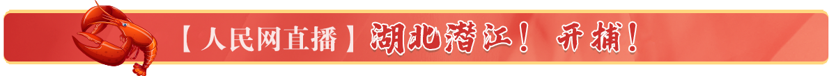 【人民網直播】湖北潛江！開捕！