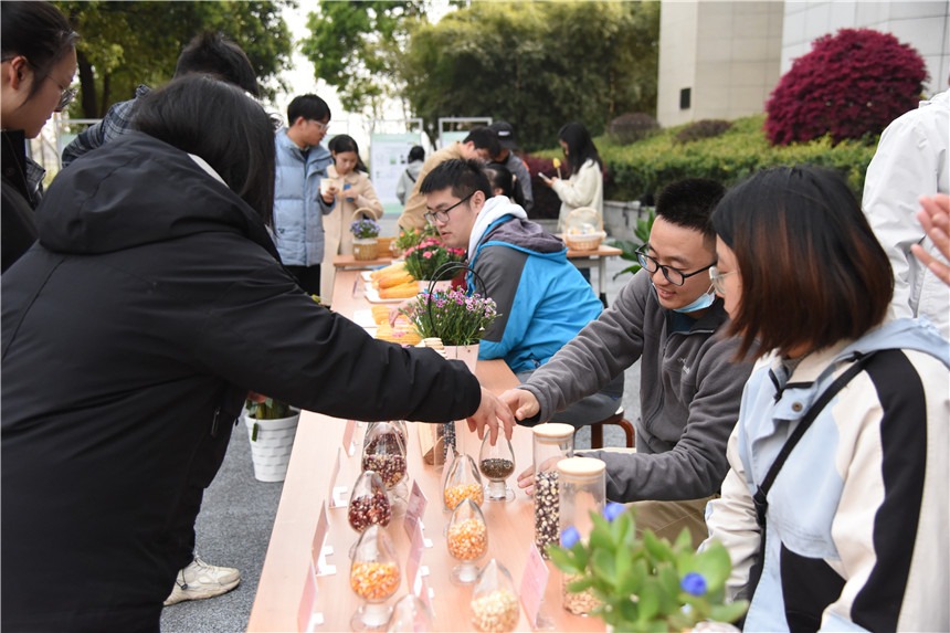 武汉一高校举行神奇玉米成果展【5】