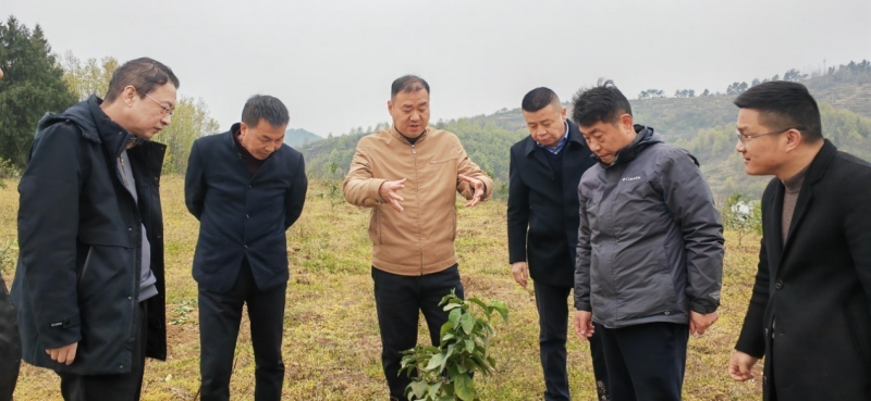 学习组听取核桃树垭村驻村工作队的讲解。张怀忠摄
