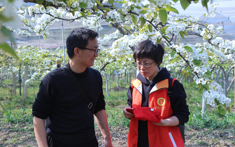 学校艾萍老师（左）向驻村工作队队长王强了解果园种植情况 摄影：杨小婷