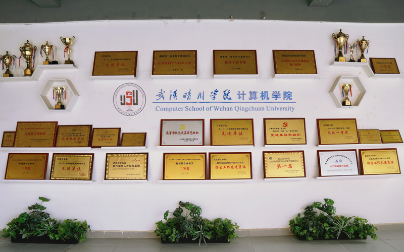 武汉晴川学院参加计算机类竞赛所获奖项。