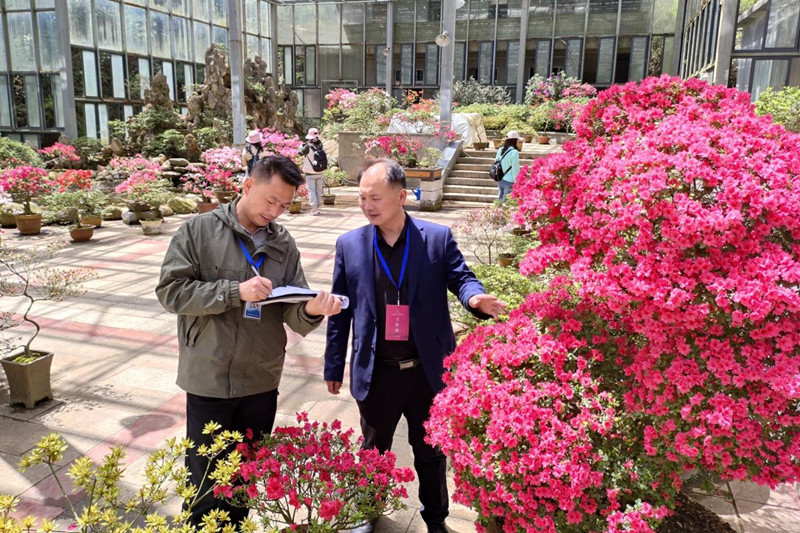 麻城市龜峰山風景區管理處紀委聯合有關職能部門在景區觀光園就安全保障等工作開展監督檢查。