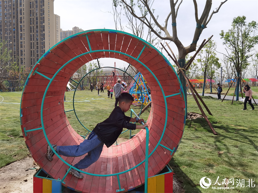 武漢：城市郊野新玩法 “梧桐雨”中享綠色生活