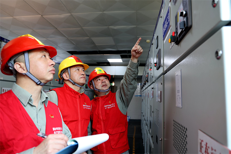 國網武漢市江夏區供電公司“鄂電紅馬甲”對金口電排站進行用電巡檢。(國網武漢供電公司供圖)