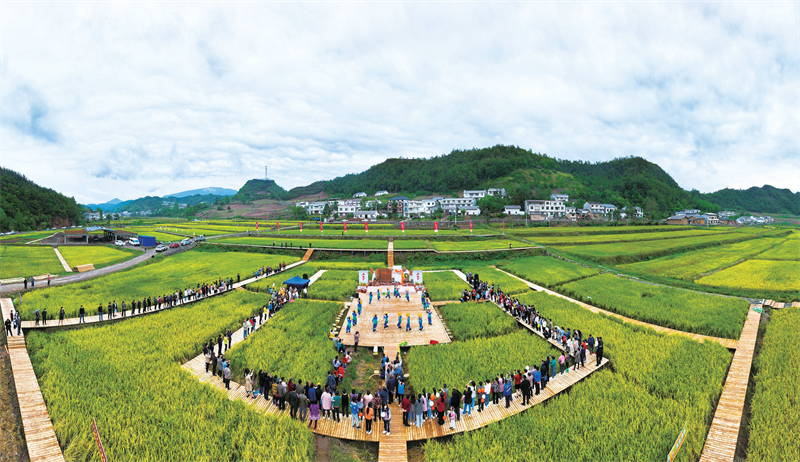 鄉村旅游快速發展。