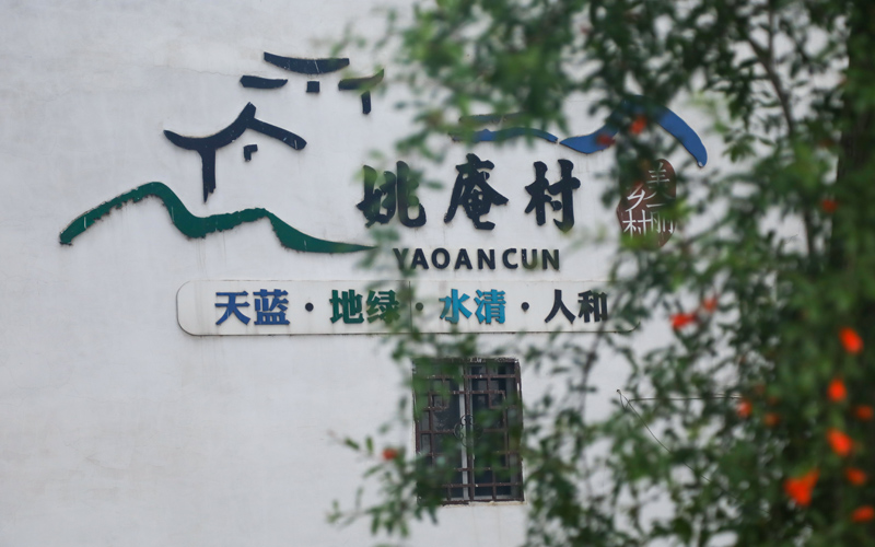 姚庵村。何欣然攝