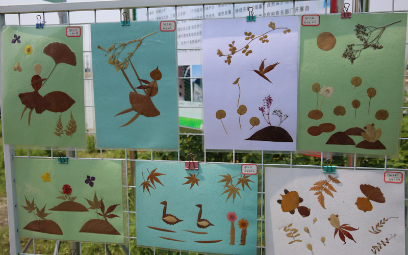 学生的手工制品。