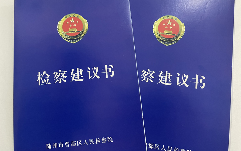 湖北隨州：千年銀杏下聽証古樹保護【5】