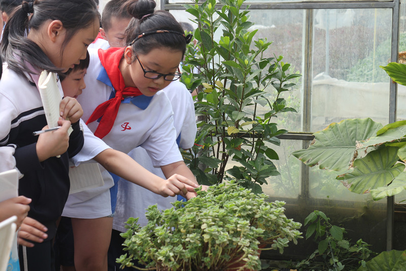 湖北省农科院社区组织辖区青少年参观省农科院经济作物研究所的蔬菜基地。