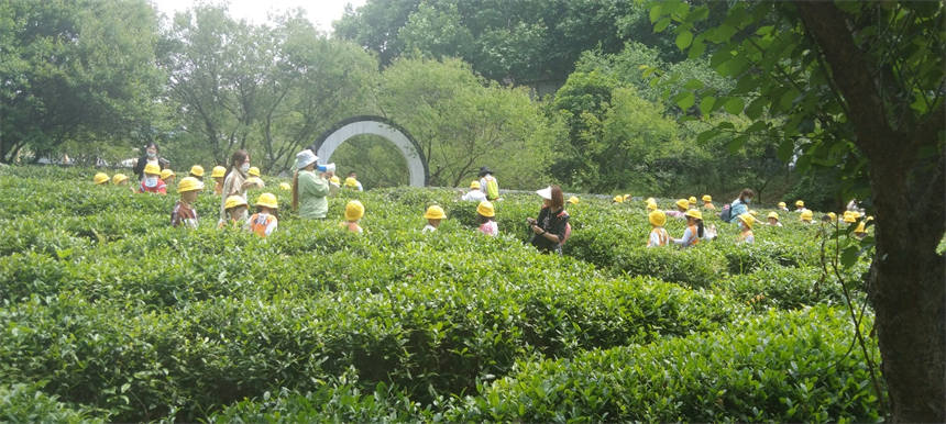 武漢都市田園綜合體捧出“六一大餐”。武漢市農業農村局供圖