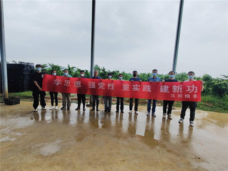 主题党日活动。