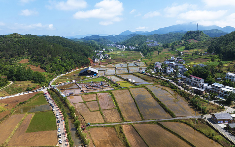 湖北竹山县擂鼓镇西河村插秧节现场