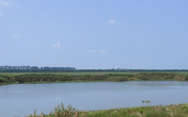 桐湖湿地水清岸绿。人民网记者 张沛摄