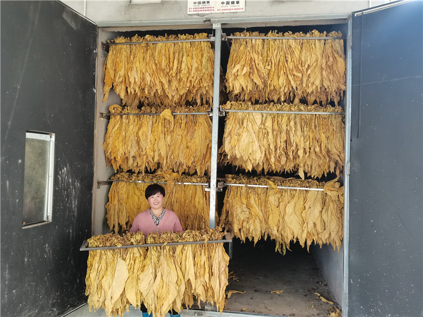 湖北兴山烟草：推行绿色生产  实现经济社会效益“双赢”【2】