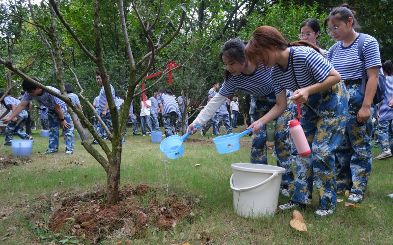 同学们浇灌石榴树。 朱再岳摄