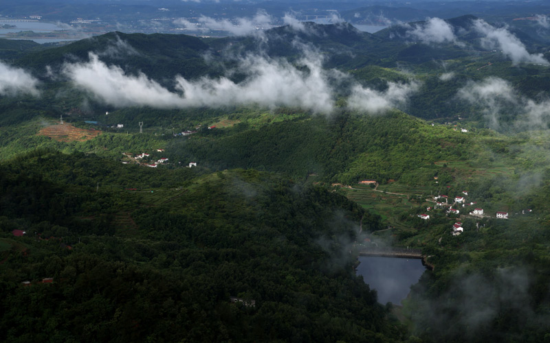 秦巴山深處的核桃樹埡村