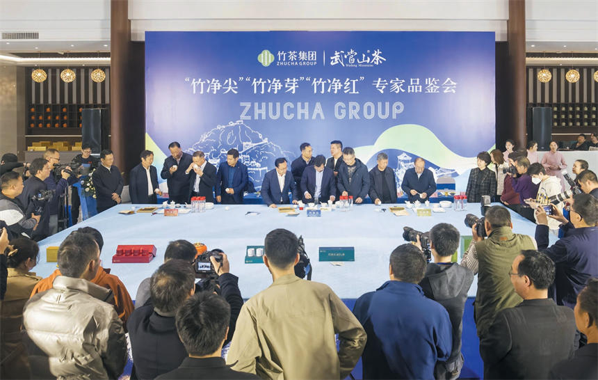 竹茶集团武当山茶专家品鉴会(王俊 摄)