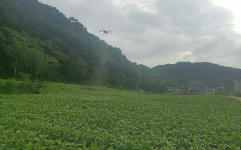 秭归县烟草专卖局（营销部）组织全县种烟村推广学习。