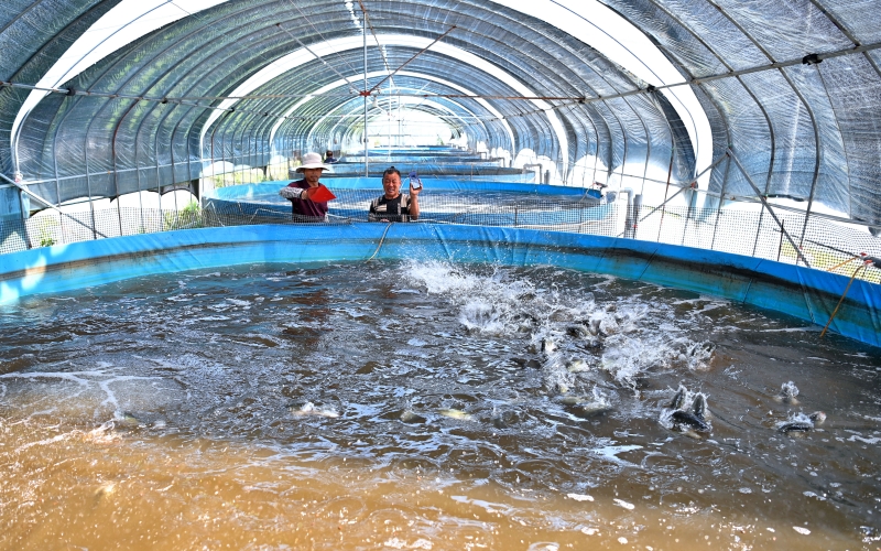 武汉市新洲区涨渡湖街道都市田园综合体一角。