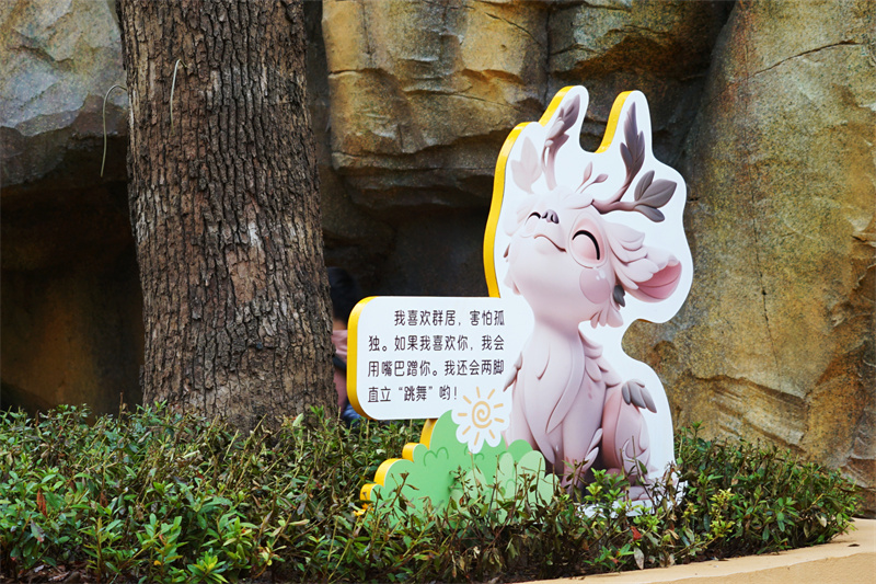 保护教育和科普展陈设计。沈娟摄