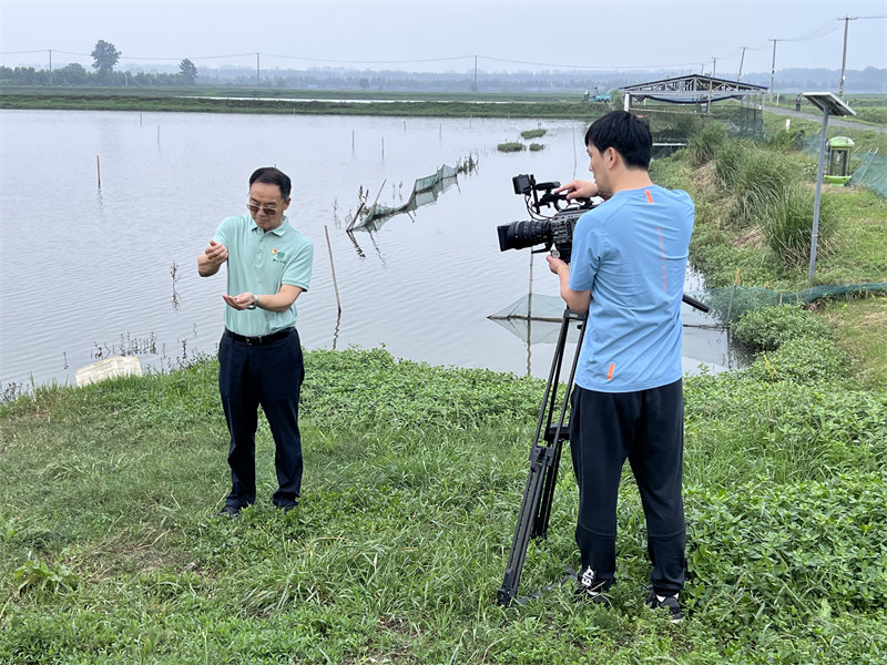 张启发院士介绍双水双绿“稻鸭虾”绿色种养模式。