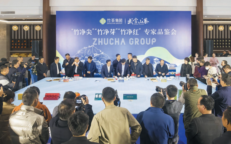 竹茶集团武当山茶专家品鉴会。王俊摄
