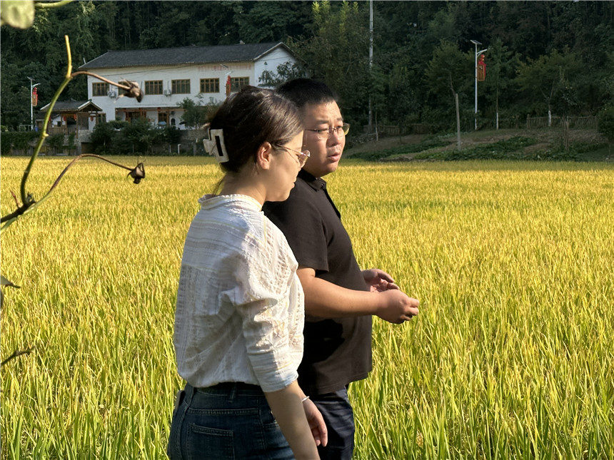 武汉市烟草专卖局：把青春华章写在烟田大地上【6】