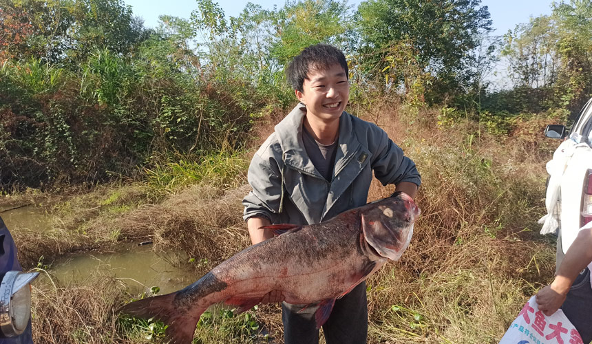 湖北咸宁:鱼跃人欢 斧头湖畔开湖忙【2】