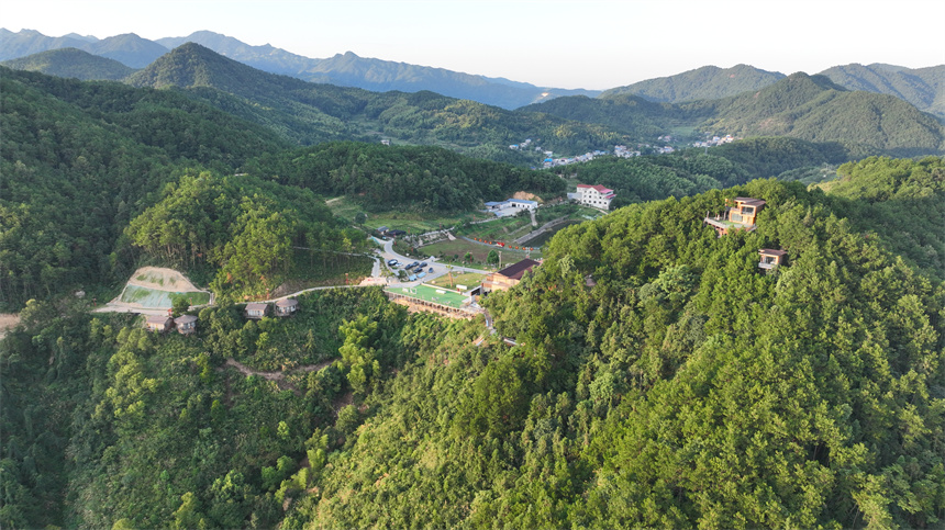 湖北浠水：新技术新装备加持 4万亩小麦抢种下地