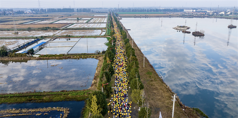 中国虾谷·2023潜江返湾湖湿地马拉松开跑。